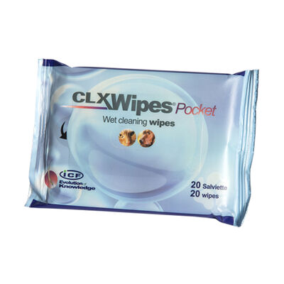 ICF Clorexyderm Wipes Pocket Salviette Disinfettanti 20 pz