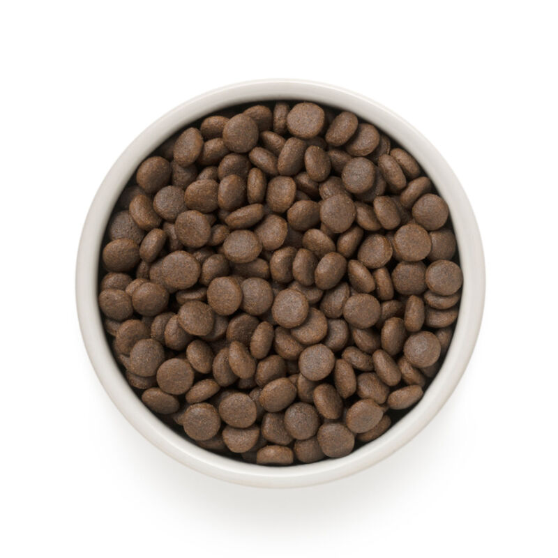 Grandorf Dog Adult Medium/Maxi 4 Carni 10Kg