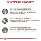 Royal Canin Veterinary Diet Cat Gastrointestinal 2 kg