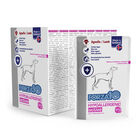 Forza10 Diet Dog Adult Hypoallergenic Actiwet con Agnello 100 gr