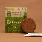 Erba per gatti Cococat Erbapiù