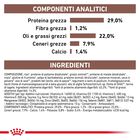 Royal Canin Veterinary Diet Dog Puppy Gastrointestinal 10 kg