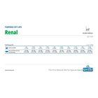 Farmina Vet Life Cat Renal 400 gr