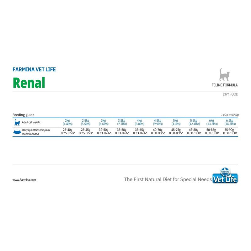Farmina Vet Life Cat Renal 400 gr