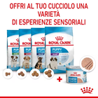 Royal Canin Dog Adult e Puppy Starter 195 gr