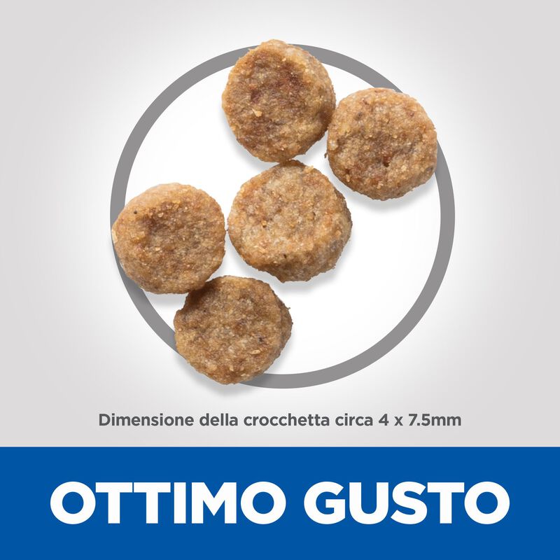 Hill's Science Plan Dog Small & Mini Mature Adult 7+ con Pollo 300 gr
