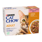 Cat Chow Cat Adult Salmone e fagiolini 10pzx85gr