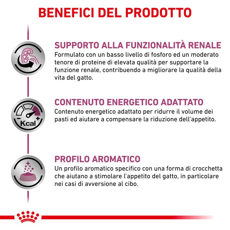 Royal Canin Veterinary Diet Cat Renal 400 gr