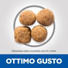 Hill's Science Plan Dog Large Breed Adult al Pollo 14 kg