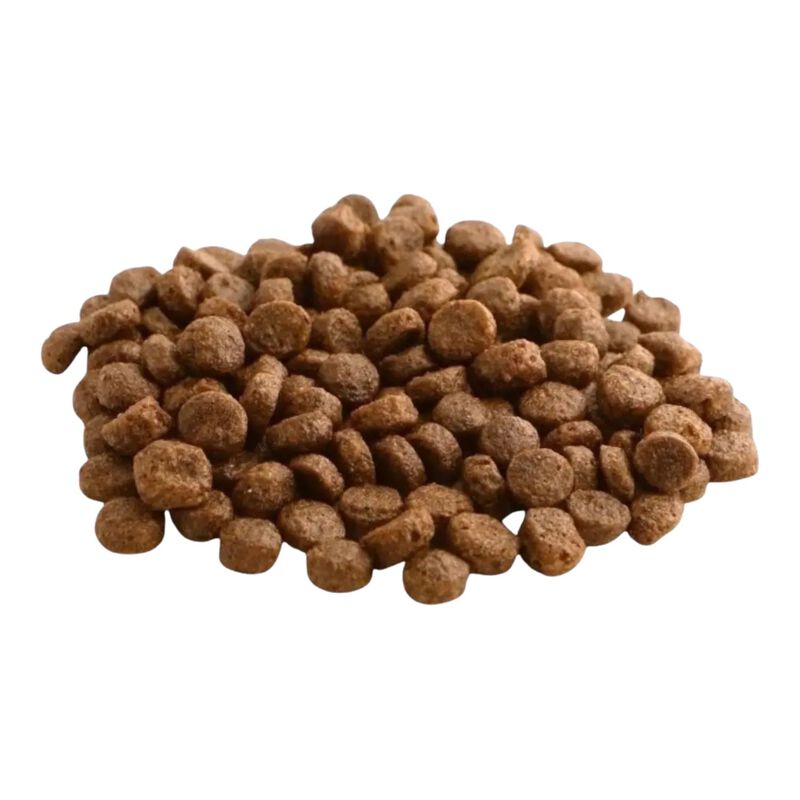 Fish4dogs Finest Dog Adult Small Salmone 1,5 kg