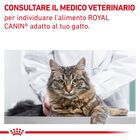 Royal Canin Veterinary Diet Cat Fiber Response 400 gr