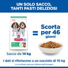 Hill's Science Plan Dog Puppy Medium con Agnello e Riso 14 kg