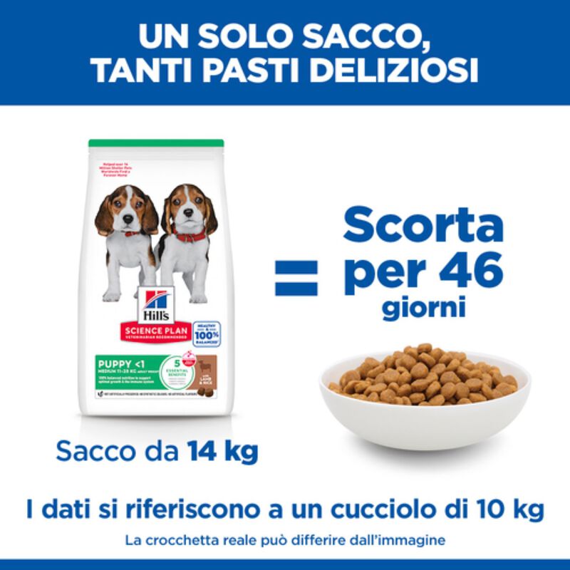 Hill's Science Plan Dog Puppy Medium con Agnello e Riso 14 kg