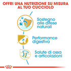 Royal Canin Dog Puppy German Shepherd 12 kg