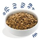 Edgard & Cooper Dog Adult Large Breed Salmone 12 kg