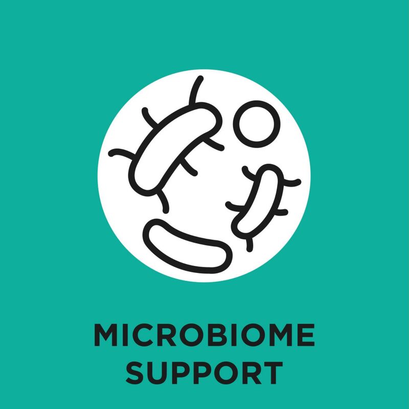 Purina Pro Plan Veterinary Diet Dog Small & Mini Gastrointestinal 1,5 kg