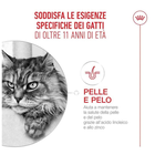 Royal Canin Cat Ageing 11+ in gravy 85gr