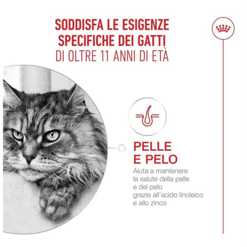 Royal Canin Cat Ageing 11+ in gravy 85gr