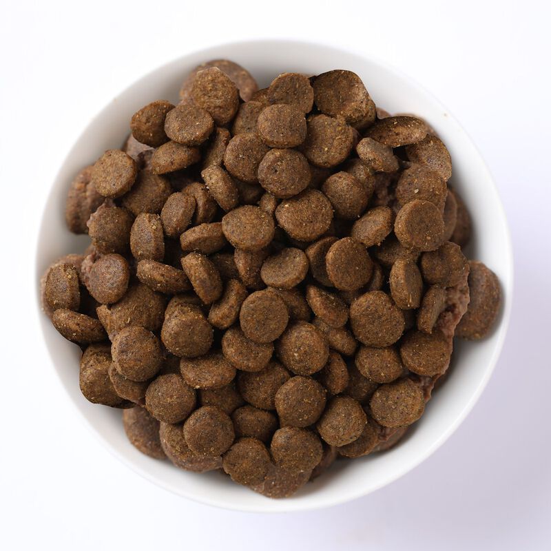 N&D Farmina Prime Cat Adult Cinghiale & Mela 1,5 kg