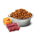 Farmina N&D Pumpkin Cat Cervo e Mela 1,5 kg