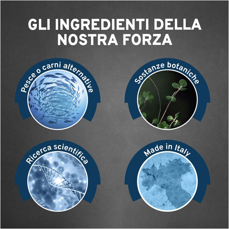 Forza 10 Active Vet Diet Urinary per gatti adulti al Pesce 1,5 kg