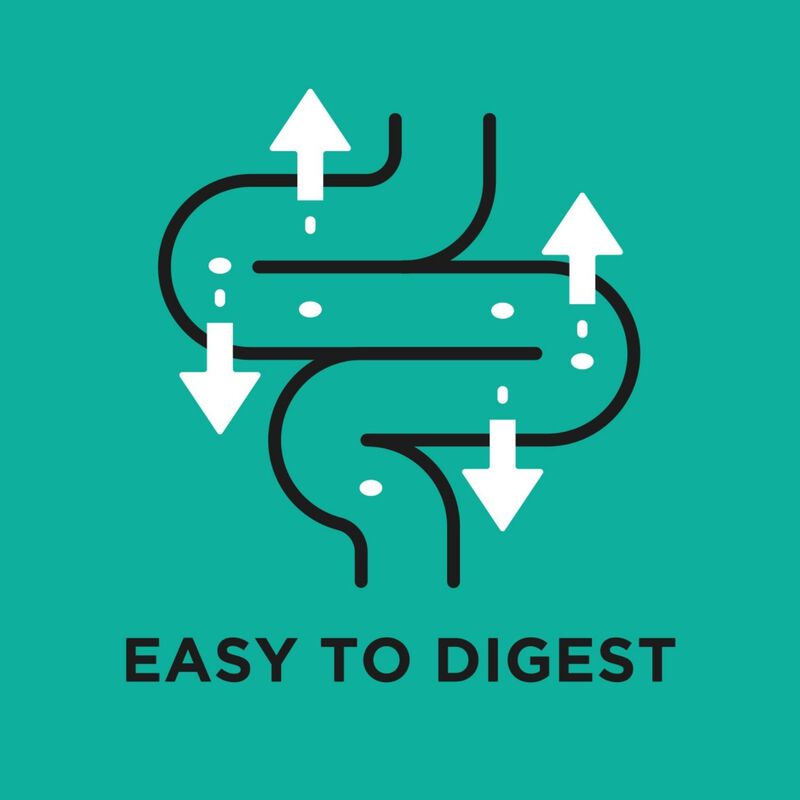 Purina Pro Plan Veterinary Diet Dog Small & Mini Gastrointestinal 4 kg