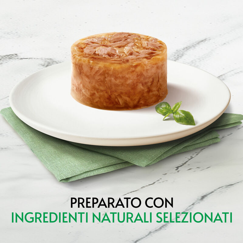 Gourmet Nature's Creations Fiocchi di Tonnetto in Gelèe 70gr