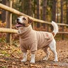 L'Isola dei Tesori Dolomia Cappottino per cani 35 Beige