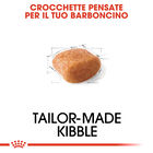 Royal Canin Barboncino Dog Adult e Senior 500 gr
