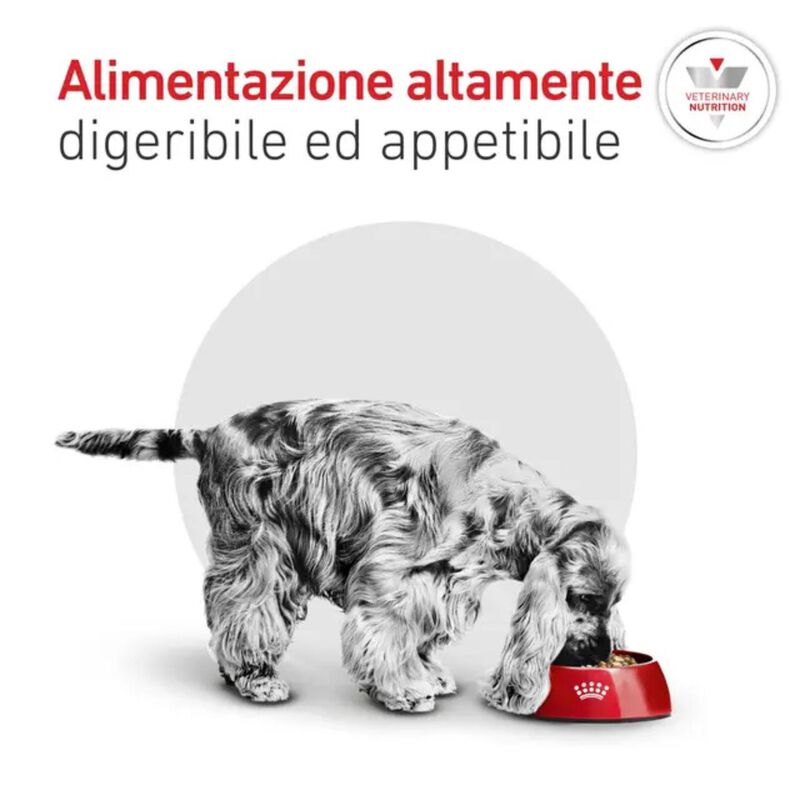 Royal Canin Veterinary Diet Small Dog Adult Glycobalance 1,5 kg