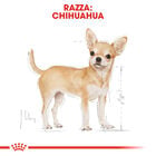 Royal Canin Dog Adult e Senior Chihuahua 1,5 kg