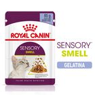 Royal Canin Cat Adult Sensory Smell Jelly 85 gr Royal Canin Cat Adult Sensory Smell Jelly 85 gr