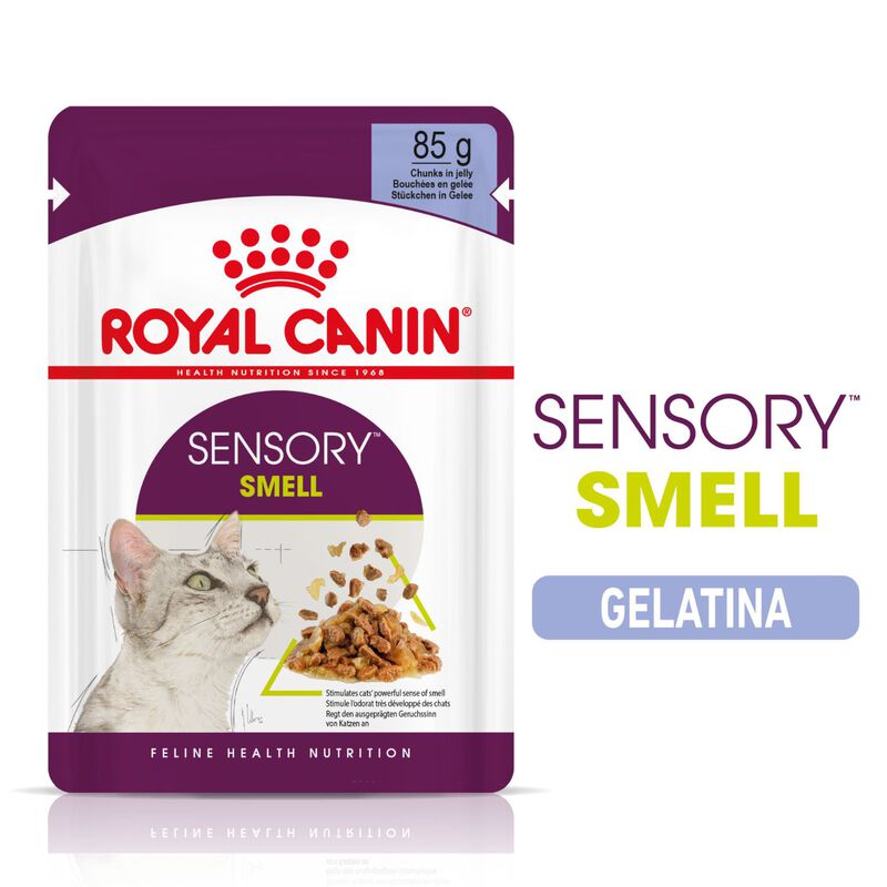 Royal Canin Cat Adult Sensory Smell Jelly 85 gr Royal Canin Cat Adult Sensory Smell Jelly 85 gr