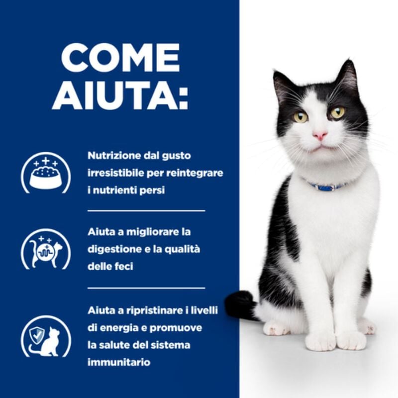 Hill's Prescription Diet Cat i/d Digestive Care al Pollo 3 kg