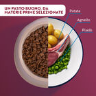 Monopro Dog Adult Mini Grain Free Agnello 2 kg