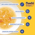 Ciao Dashi Delights Silky Broth Brodo Dashi con straccetti di Pollo 40 gr