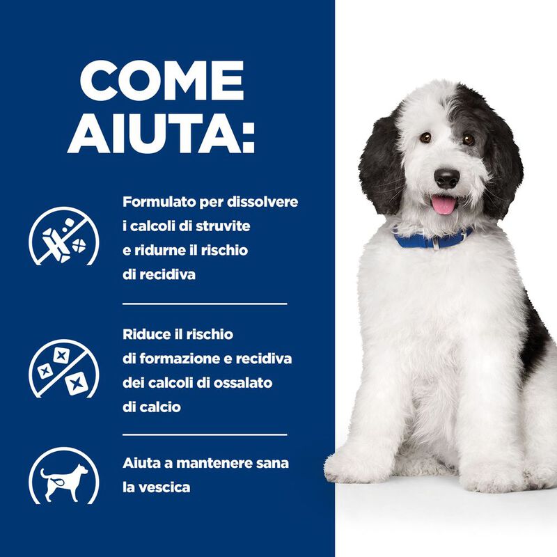 Hill's Prescription Diet Dog c/d Multicare Urinary Care 12 kg