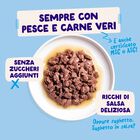 Edgard & Cooper Bocconcini in Salsa per gatti adulti Pesce 12pzx85gr