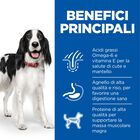 Hill's Science Plan Dog Medium Adult con Agnello e Riso 18 kg