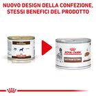 Royal Canin Veterinary Diet Dog Adult Gastrointestinal 200 gr