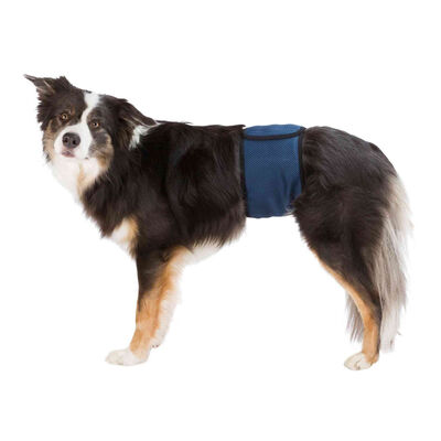 Trixie Frascia Igienica per cani Maschi XL