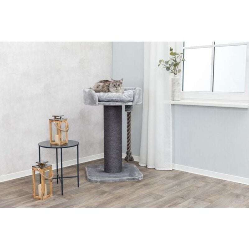 Trixie Tiragraffi XXL Klara colore Grigio 60x60xh100 cm