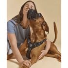 Tre Ponti Harmonia Pettorina per cani tg L col. Nero