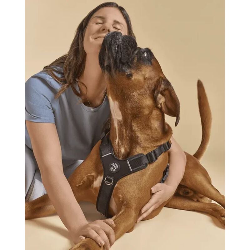 Tre Ponti Harmonia Pettorina per cani tg L col. Nero