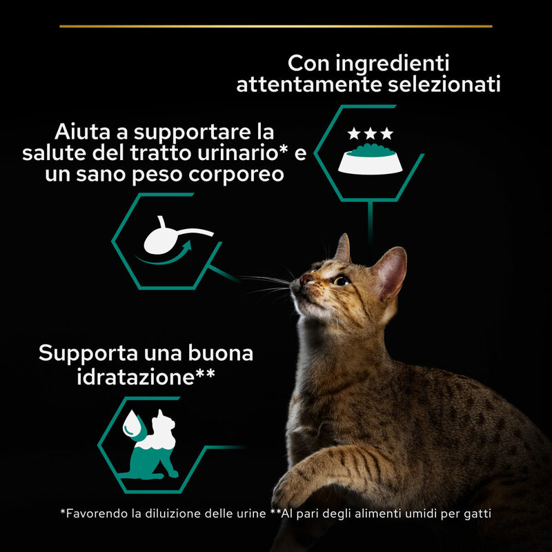 Purina Pro Plan Cat Sterilised Adult Maintenance terrine con Tonno e Salmone 85grx12 pz
