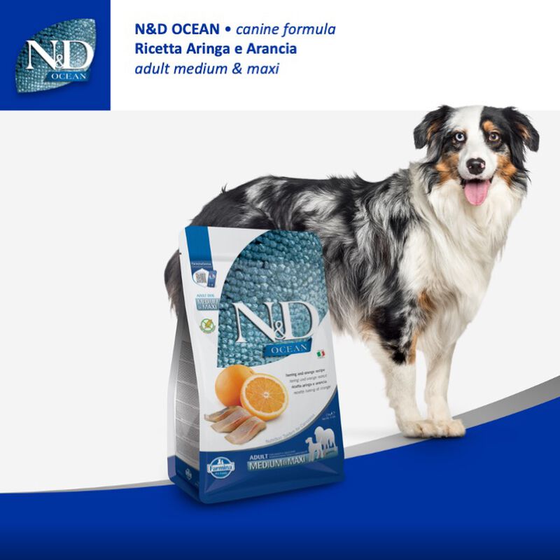 Farmina N&D Ocean Dog Adult Medium & Maxi Aringa e Arancia 2,5 kg