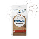 Forza10 Active Dog adult all size Gastroenteric Low Fat 10 kg