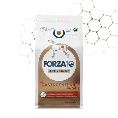 Forza10 Active Dog adult all size Gastroenteric Low Fat 10 kg