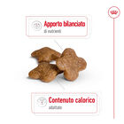 Royal Canin Dog Mini Adult 8+ e Senior 800 gr