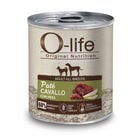 O-life Adult All Breeds Paté Cavallo con Pera 400g image number 0